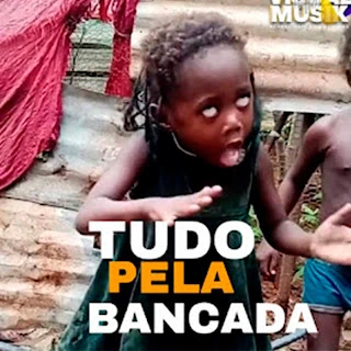 Mauro Mira - Tudo pela bancada