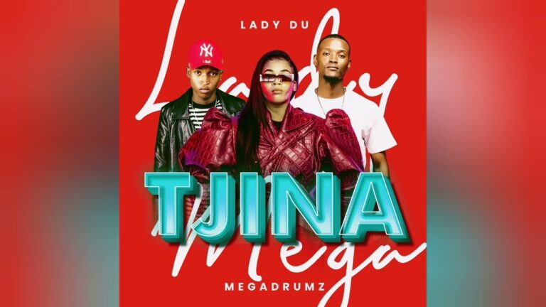 Megadrumz feat. Lady Du - Tjina